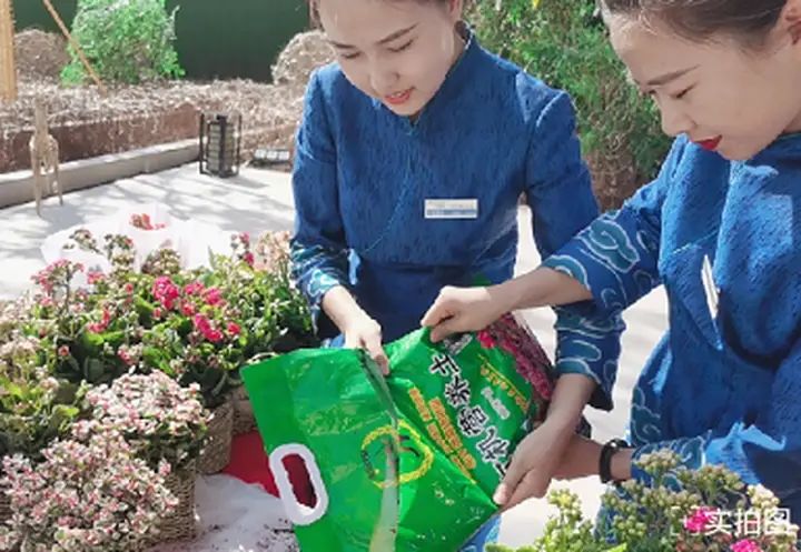 Ê¢ÊÀÔÆÖþ ñöÌýÃÀºÃ¡°¼Ò¡±Òô ÔÆÖþ7Ô¼ÒÊ飨ÉÏÆª£©