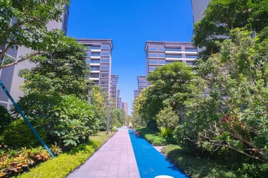 房价
