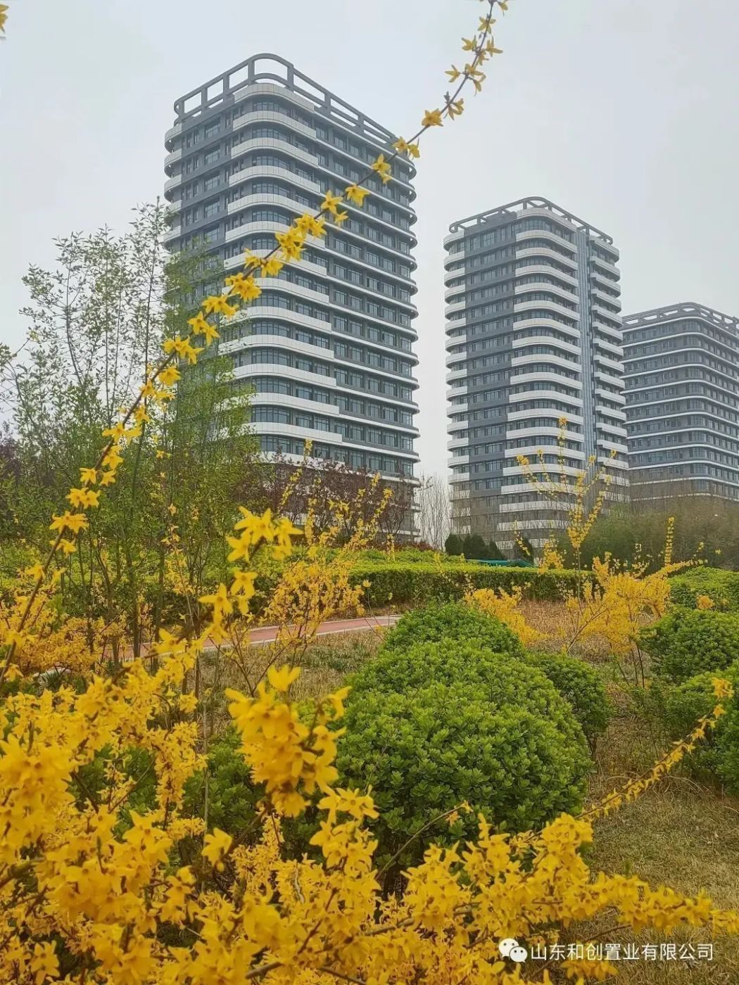 房价