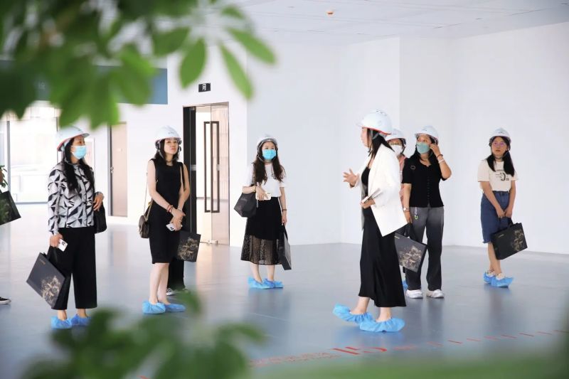 丽金智地中心和他的朋友们