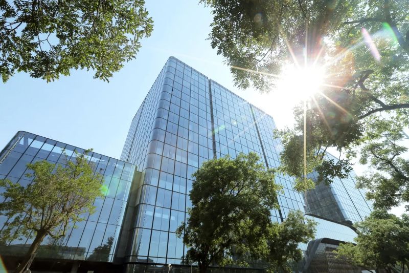 丽金智地中心和他的朋友们
