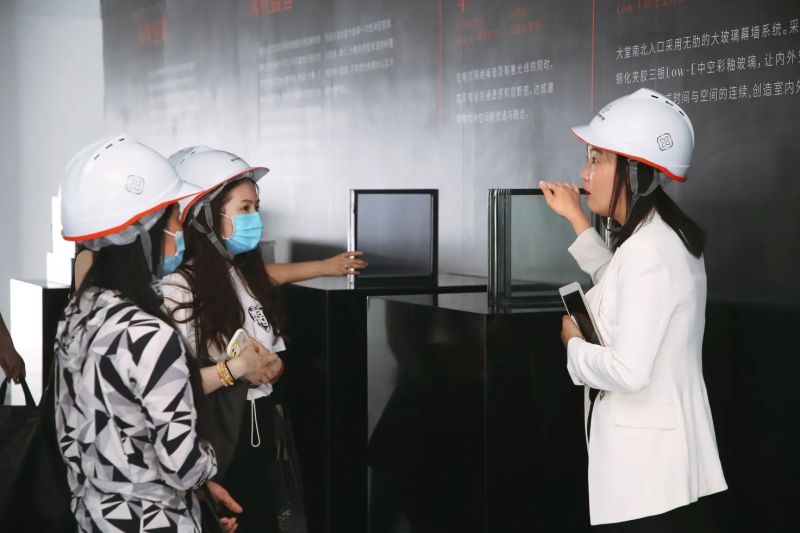 丽金智地中心和他的朋友们