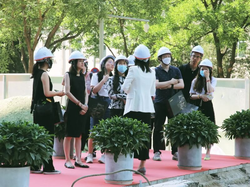 丽金智地中心和他的朋友们