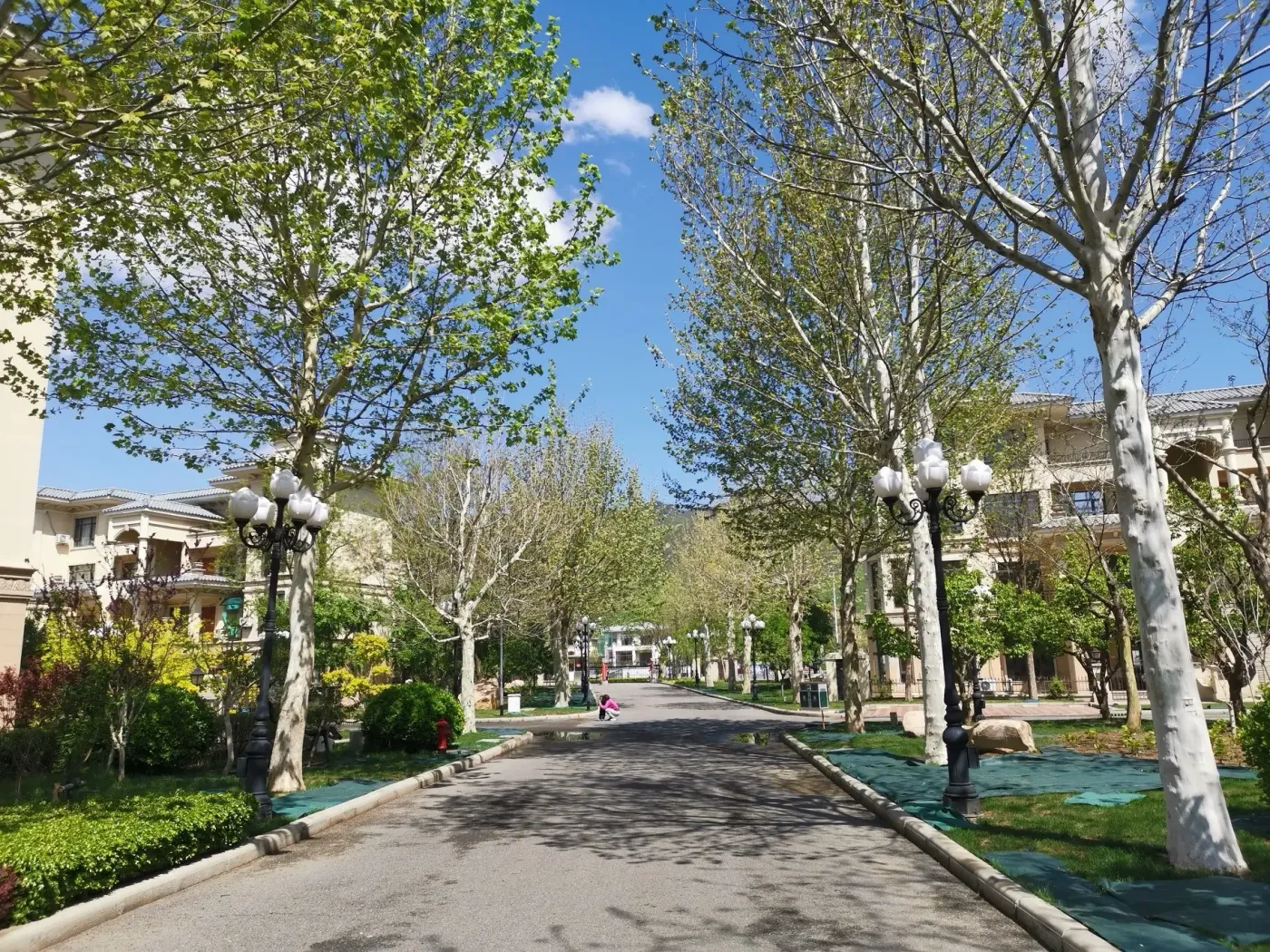 渔阳镇 恒大香麓苑 5室2厅