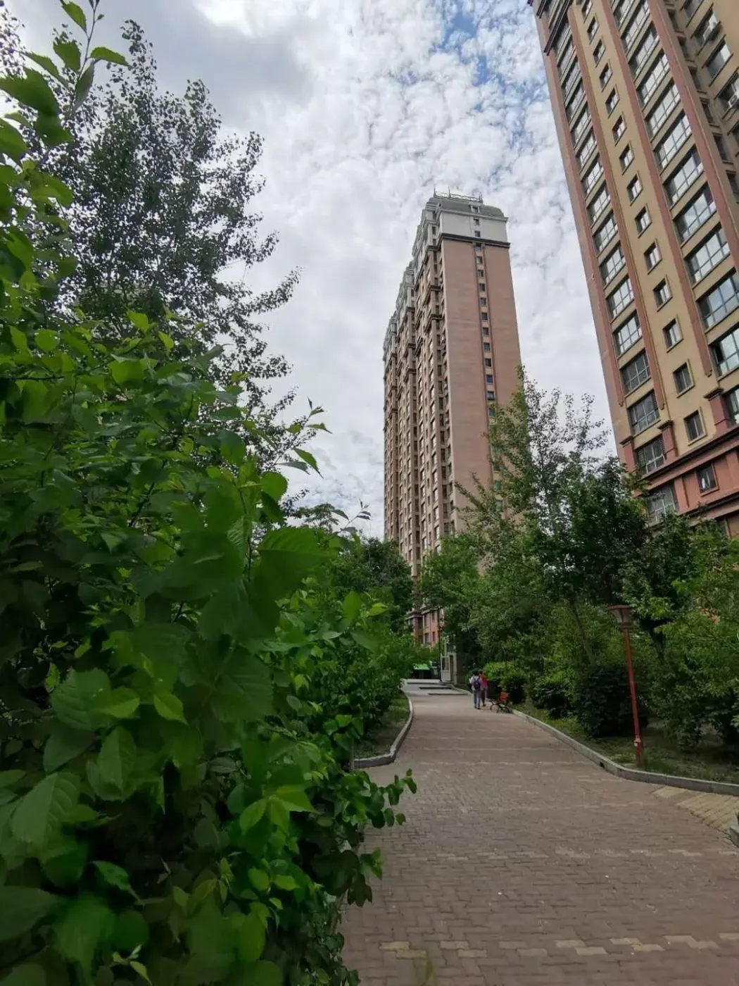 香坊 天悦 2室2厅