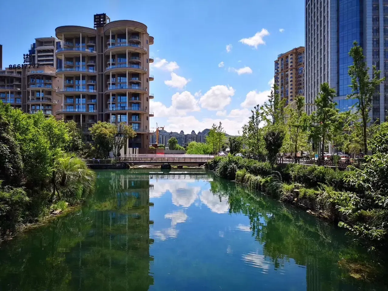 南湖里居然有这么多新鲜事