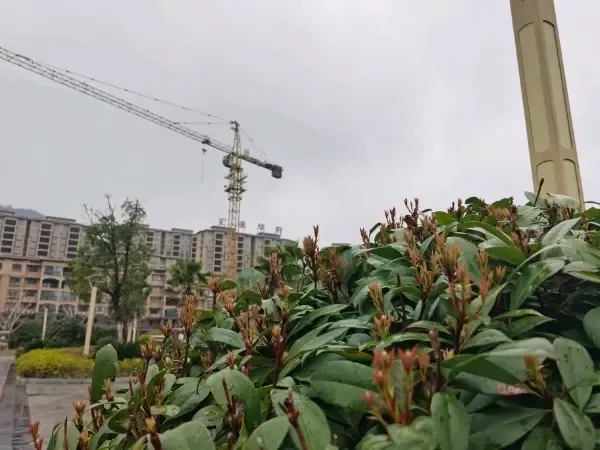 房天下问答 