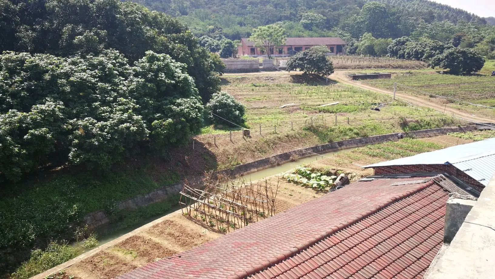 轉讓興業縣大平山鎮55畝土地-玉林市土地轉讓-3fang土地網