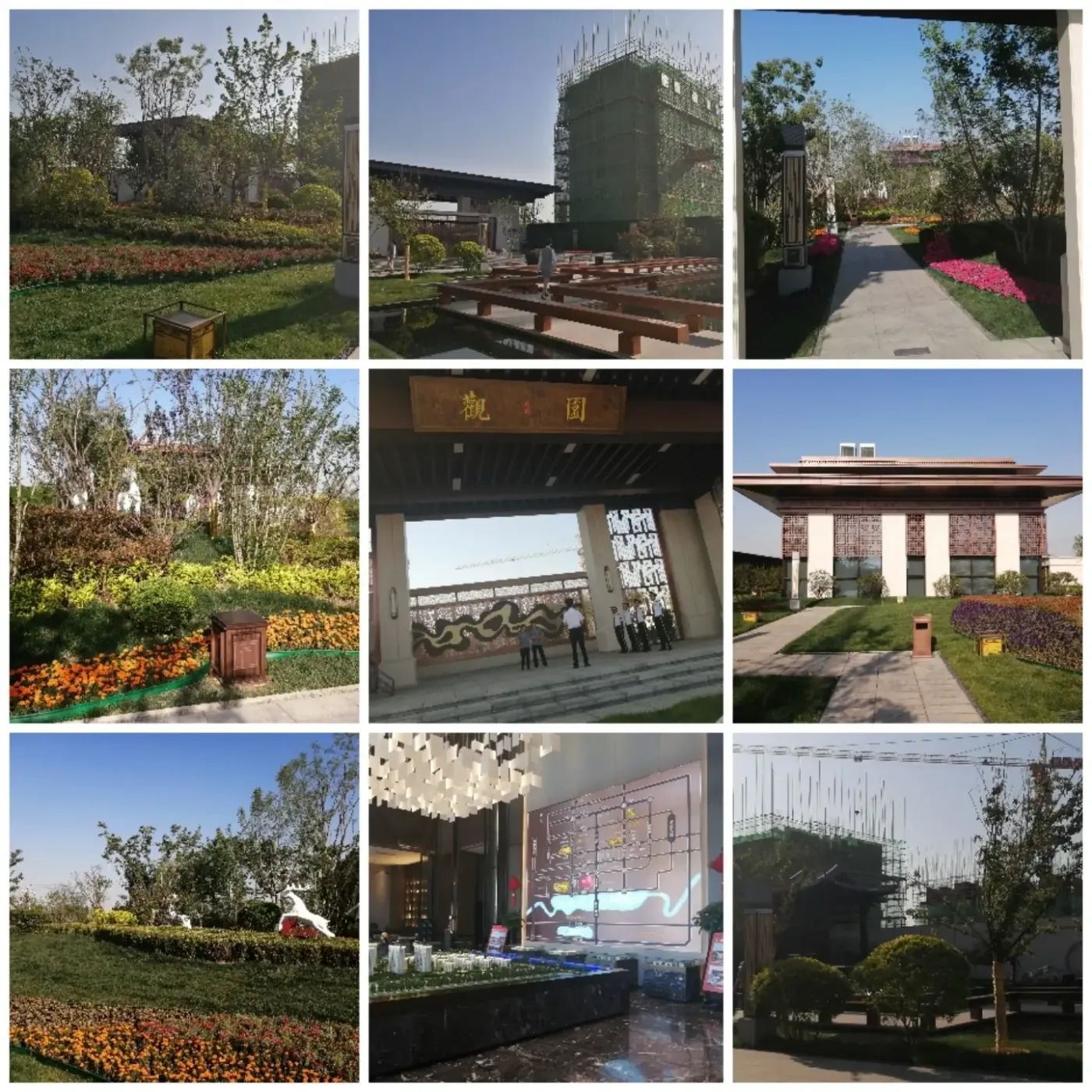 大荔县 大荔县龙记观园 3室2厅