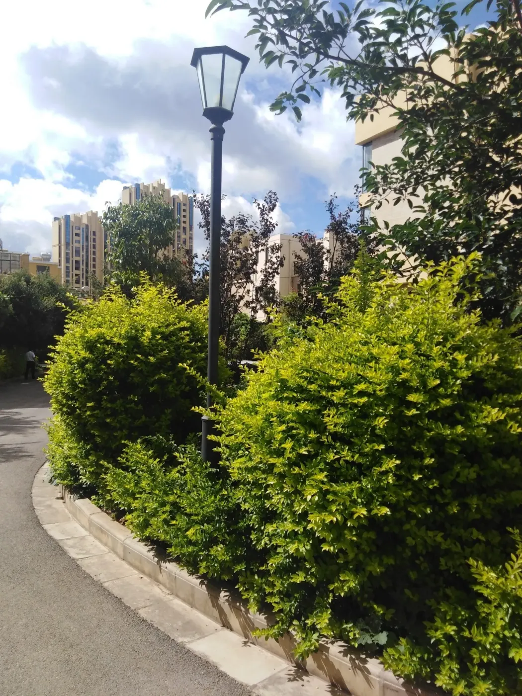 楚雄市 彝海大成 5室2厅