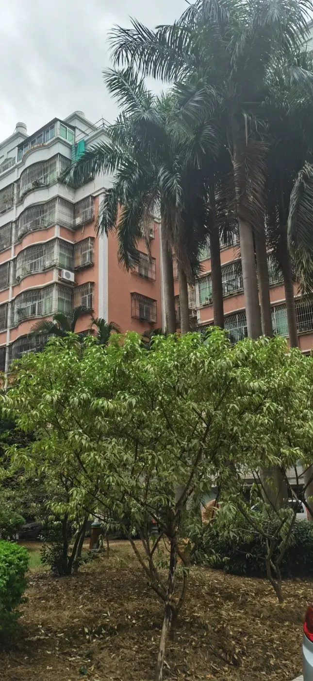 新宇花园 3室2厅3卫,豪华装修,有契可过户,满五唯一