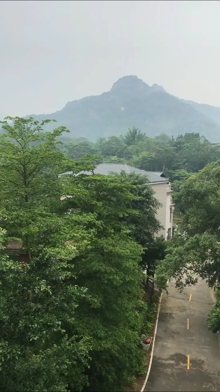 长泰 发现之旅 1室1厅森林小屋,每日有氧生活.业主售