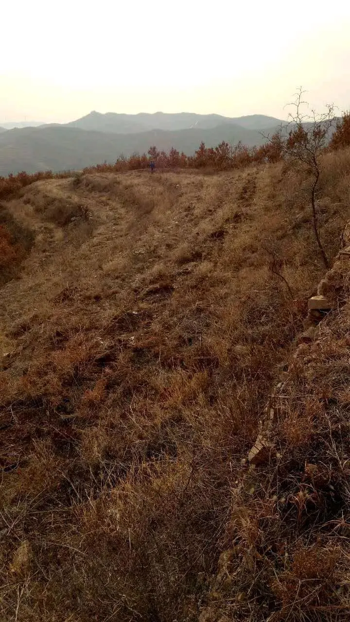 煙臺海陽荒山出租轉讓