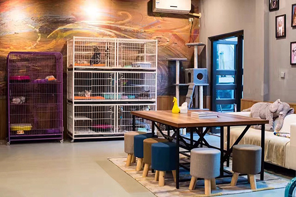 宠物店装修效果图