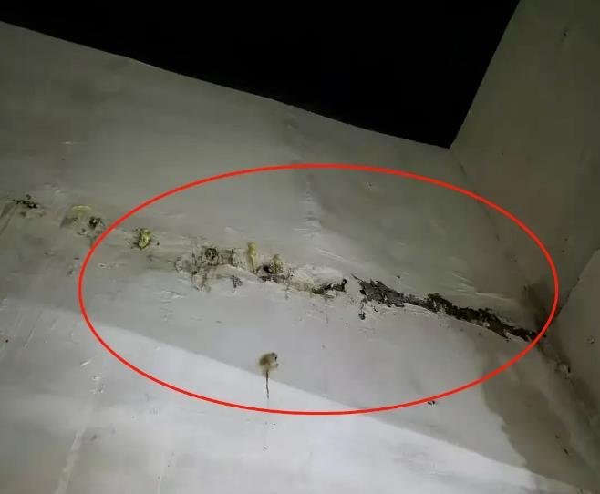 有图有真相,阳光城交付大型翻车现场