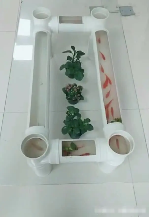 买个鱼缸少说几百块几根pvc管就能养鱼还能做茶几一举两