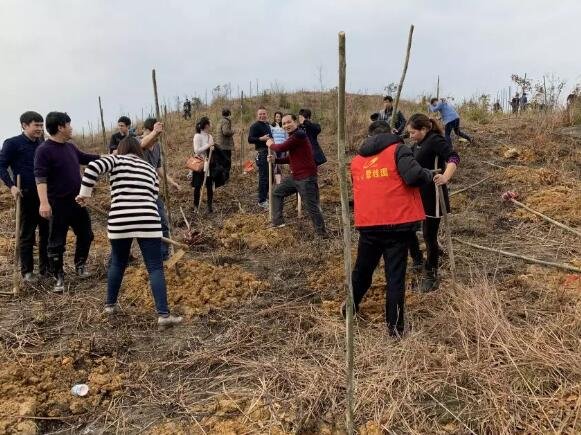 东安县政府机关与碧桂园开展千人植树活动