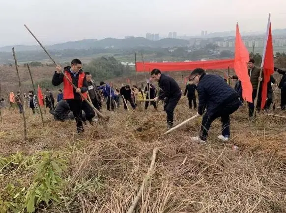 东安县政府机关与碧桂园开展千人植树活动