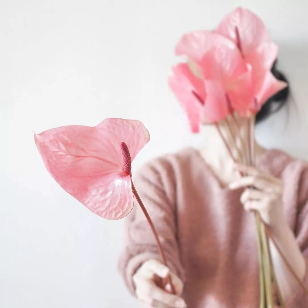 女神节DIY插花︱春风十里一束芳华，献给美的自己