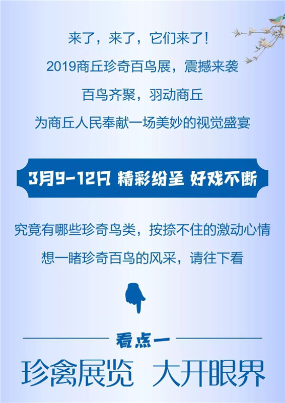 百鸟齐聚，羽动商丘｜2019商丘珍奇百鸟展震撼来袭！（点击领取门票）