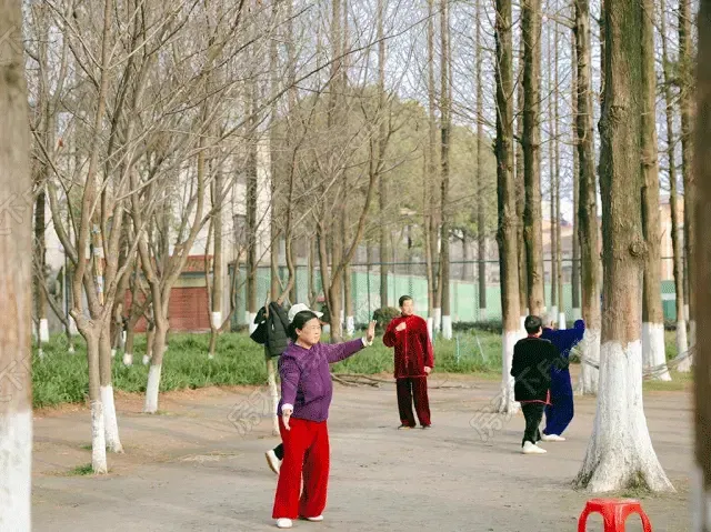 640_479gif 动态图 动图