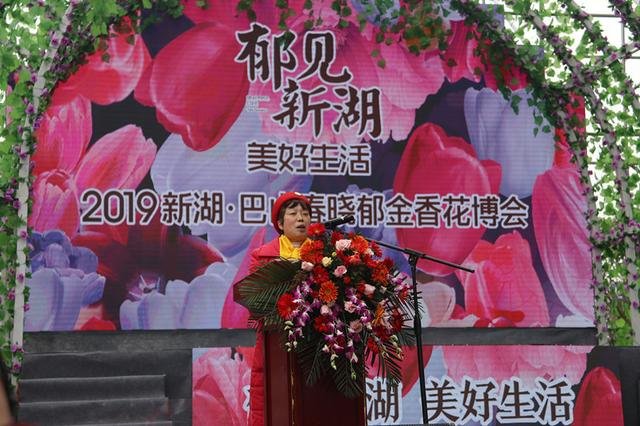 恩施首届郁金香花博会今日启幕,现场让人惊叹！