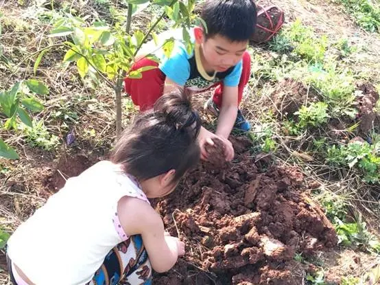 共赴美好 植善天下 2019“融侨公益植树节”重庆站—融侨首玺美好发生