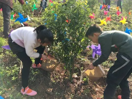 共赴美好 植善天下 2019“融侨公益植树节”重庆站—融侨首玺美好发生