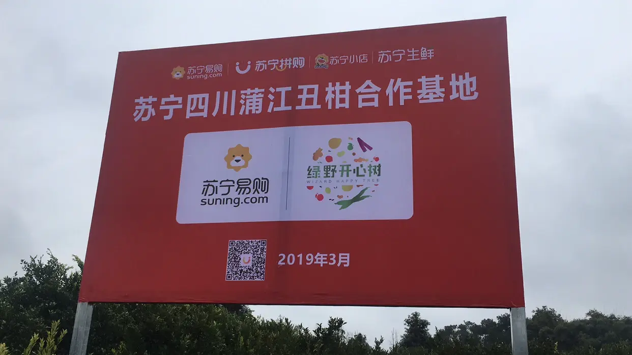 苏宁拼购第五座“拼基地”落地四川蒲江 专供丑柑