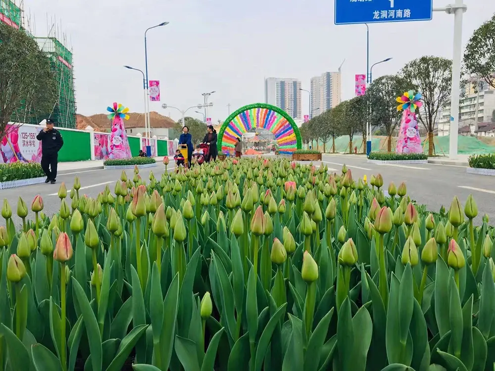 植树节观花开，新湖巴山春晓春意盎然