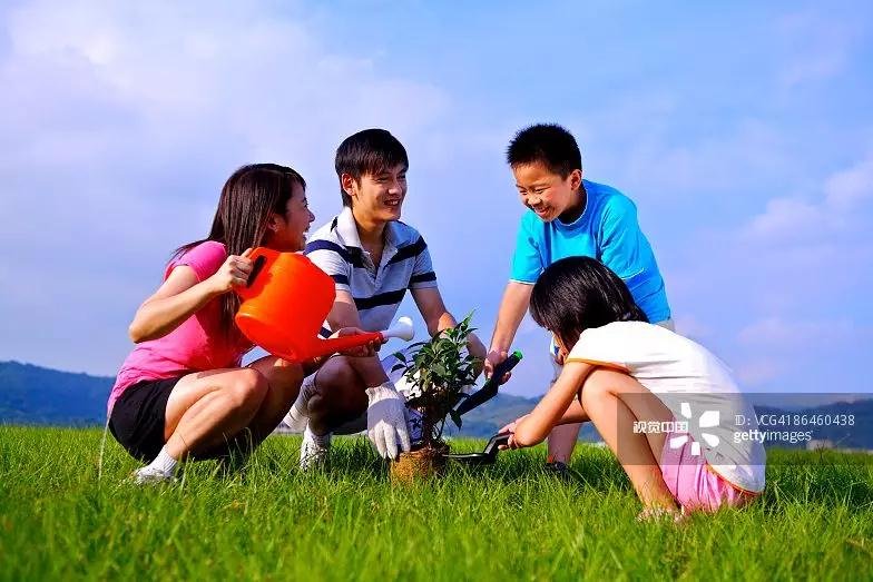 【为城市添一抹绿】怀化碧桂园&宏宇皇家幼儿园大型植树节活动！