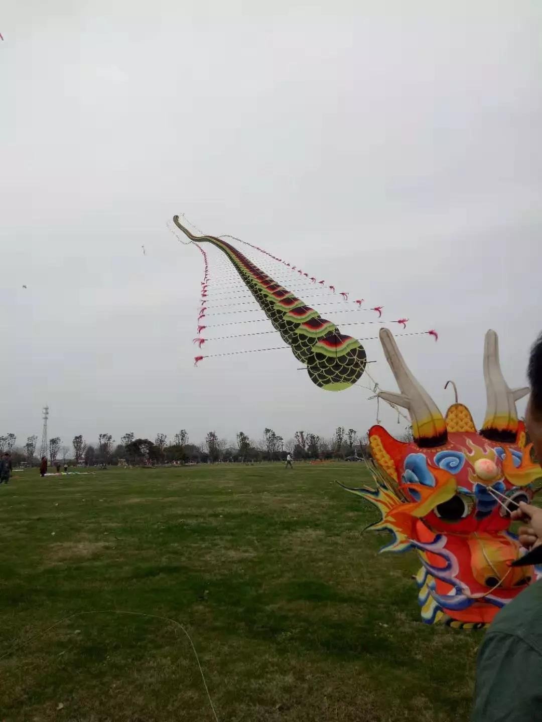 金都檀宫被瞩目了！春日巨型风筝、特技风筝，本周末展开秀！领福利！