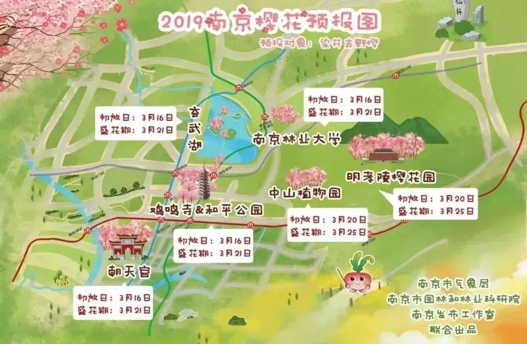 不辜负整个春天 初春三月的南京 是万紫千红争妍斗艳的季节 鸡鸣寺的