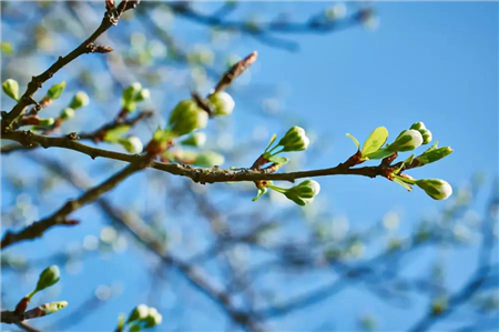 【龙沪江南里】｜春分至 万物荣 是一年好时节