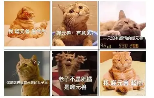 惊奇队长，被橘猫圈粉的英雄片