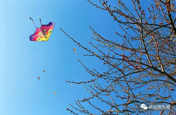 春天柳树放风筝的景色图片