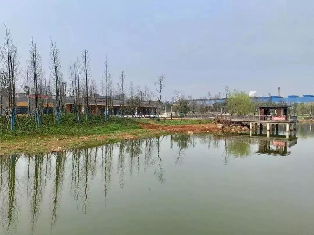 心动！湘潭河东新增一个生态公园
