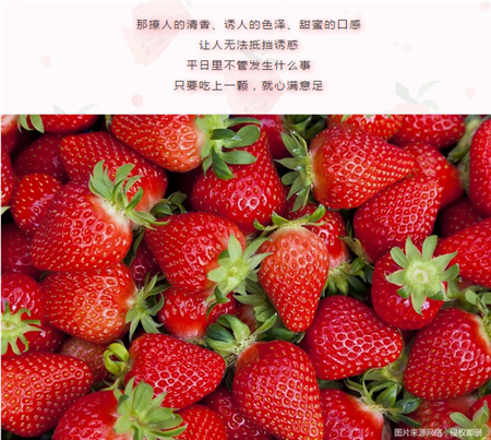 恒大·悦珑湾丨莫负“莓”好时光，甜蜜“味”你而来！