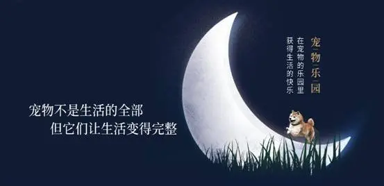 2864243a56cc149e96f3ab207284718