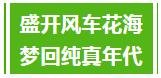 【楼盘动态】润达美墅|十万风车等你来，2019润达美墅首届风车节即将开幕！