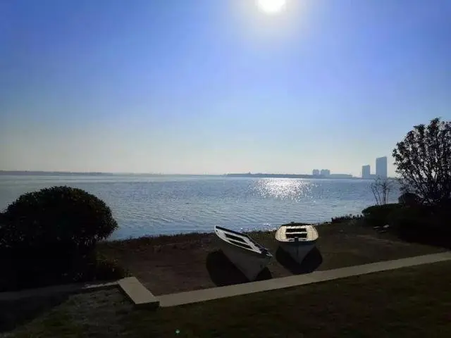 大片春赏:寻找青岛最美售楼处 撩不撩?(多图高清)