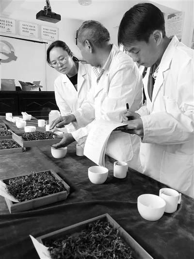 勐海县西定乡曼来村举办首届制茶斗茶比赛