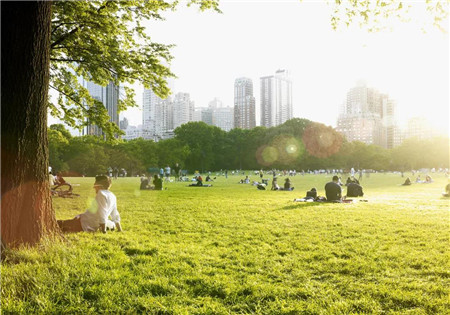 建业·璟园丨园藏城芯，境启自然，畅享都市园居生活