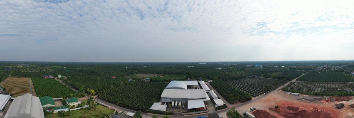 苏宁生鲜泰国椰青专属基地揭牌，全球优质供应链搭建计划再提速