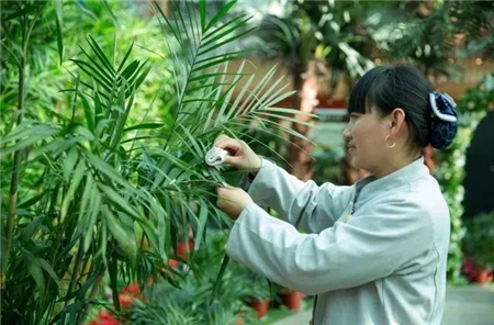 气温突降，这里依旧“惠”风和畅