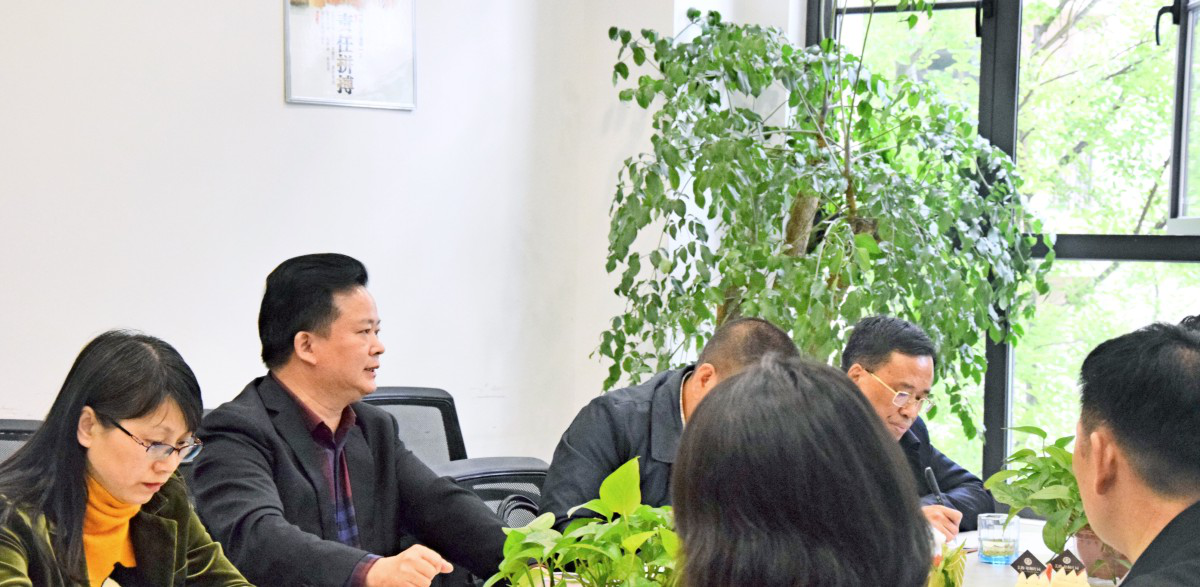 衡阳市政协副主席汪维及市、区等领导一行到访美的·梧桐庄园项目调研