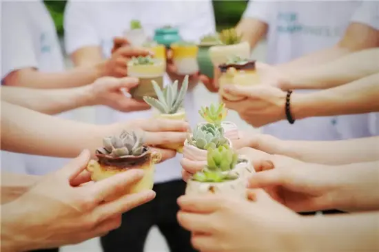 与家园共生长祥生61中央尚品多肉绿植diy快闪送绿植活动圆满落幕