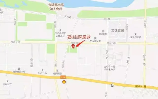 实踩宝鸡房地产巨头之一，那么在宝鸡它真正受欢迎吗？