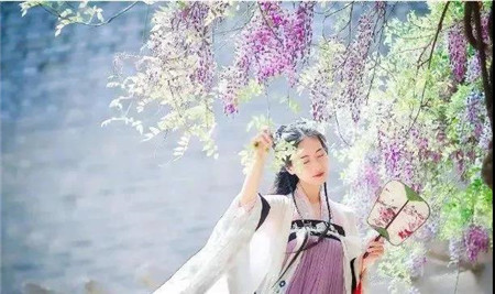 峰华新时代丨哇！濮阳首届百万紫藤花海风铃艺术节来啦！