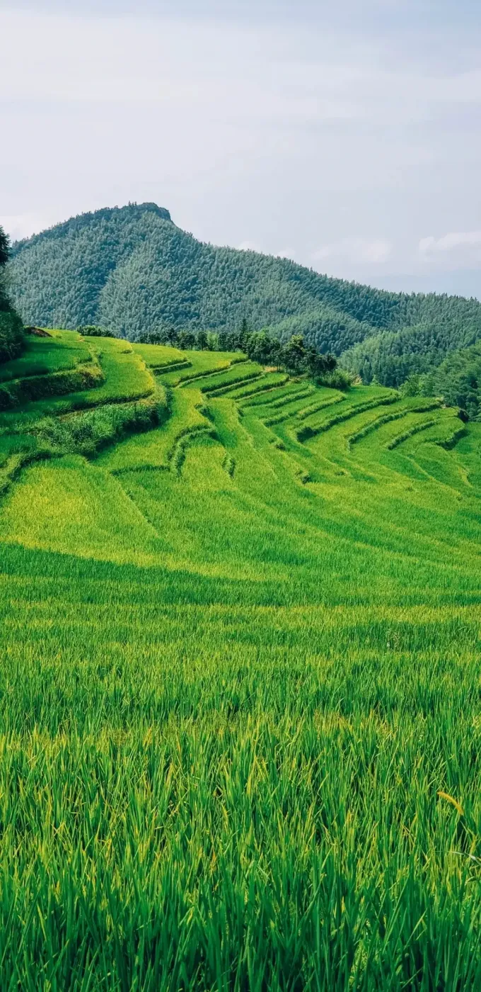 合一山居丨上堡梯田人间的醉美曲线